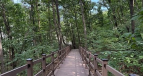 하남시 황산숲(풍산동 537번지)에 조성된 데크로드 모습. /사진제공=하남시