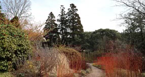 동백커피식물원에서는 온실 한가운데에는 붉은 동백이 자란다. /사진=한국관광공사