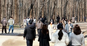 12월 첫날인 1일 아침 기온이 평년보다 높은 기온이 형성될 예정이다./사진=뉴스