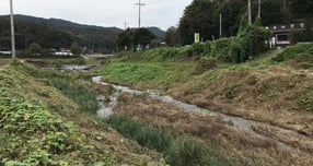  도비 176억원을 투입, 정비하는 여주 부평천 모습. /사진제공=경기도