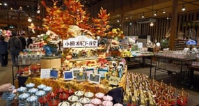 웅진프리드라이프, 전세선 크루즈 여행상품 출시