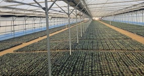 꽃양묘장 실내에 조성한 맨발길 모습. /사진제공=안양시