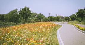 5월의 오산천 풍경. /사진제공=오산시