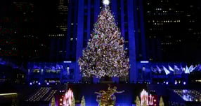 미국 뉴욕 록펠러 센터에서 크리스마스트리 점등식이 열려 화제다. 사진은 지난 3일(현지시각) 점등한 크리스마스 트리의 모습. /사진=로이터