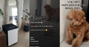 개그우먼 박나래 &#039;주사이모&#039; 이모씨가 샤이니 멤버 키와 연관된 사진과 영상을 SNS에 올린 것이 포착돼 논란이 되고 있다. 사진은 이씨가 자신의 인스타그램에 올린 키 집에서 찍은 것으로 추정되는 사진과 영상의 모습. /사진=이씨 인스타그램 캡처