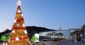 성탄트리가 환하게 불 밝히고 있는 양주시청사 전경. /사진제공=양주시