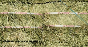 STX가 트롤리고를 통해 국내에 유통하는 조사료. /사진=STX