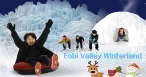 &#039;2025 어비계곡 겨울나라&#039;축제 포스터. /사진제공=가평군