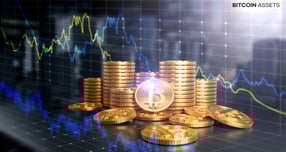 [체크!코스닥] '코인금고' 전락 파라택시스… 신약개발 R&D 70% 증발