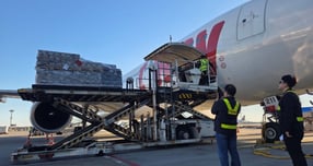 [비즈S+] 여객기 화물칸 늘리는 LCC… 돌파구는 '벨리카고'