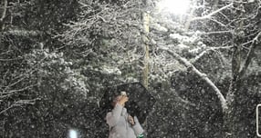 일요일 내륙 곳곳에 대설특보가 내려질 전망이다. 사진은 지난 4일  경기 수원시 영통구 망포동 거리에 눈이 내린 모습. /사진=뉴시