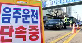 11일 오후 인천 중구 월미도 인근 도로에서 중부경찰서 교통안전계 소속 경찰이 연말연시 불시 음주운전 단속을 하고 있다. 사진은 기사 내용과 직접적인 관계가 없음. /사진=뉴시스 전진환 기자 