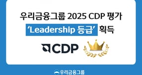 ./그래픽=우리금융그룹 