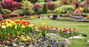 아침고요수목원 전경. /사진제공=가평군