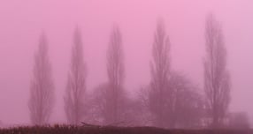 영국 일부 지역에 분홍색 안개 현상이 일어나 화제다. 사진은 영국 옥스퍼드셔에 일어난 분홍색 안개 현상의 모습. /사진=가디언 홈페이지 캡처