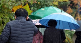 토요일인 오는 20일 전국 곳곳에 비가 내릴 전망이다. 사진은 서울 종로구 대학로 일대에 한 시민이 나뭇잎으로 비를 막으며 발걸음을 옮기는 모습. /사진=뉴스