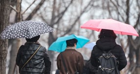 24일 오전까지 전국적으로 비가 내릴 것으로 예측된다. 사진은 지난해 1월 서울의 모습. /사진=뉴스