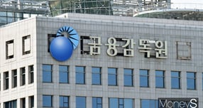 금융감독원이 보험사기 일당 적발 및 처벌을 강화하기 위해 경찰과의 공조를 강화하는 동시에 특별사법경찰 도입을 적극 추진한다. 사진은 서울 여의도 금감원. /사진=임한별 기자