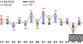 시도별 전년동기비 성장률(%)과 기여도(%포인트) /사진제공=국가데이터처 