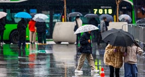 사진은 서울 종로구 광화문광장에서 우산을 쓴 시민들이 이동하고 있는 모습. /사진=뉴시스