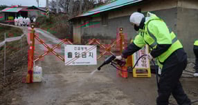 (당진=뉴스1) 김기태 기자 = 25일 충남 당진 송산면 무수리 한 돼지농장에서 '치사율 100%'(급성형)에 달하는 아프리카돼지열병(ASF)이 발생한 가운데 방역 관계자가 농장 입구를 소독하고 있다.  충남도와 당진시는 이날 발생 농가와 농장주 소유 2개 농장 돼지에 대한 살처분을 마칠 계획이며, 발생 농장 10㎞ 이내 28개 양돈농장에 대해서는 소독을 실시와 함께 이동 제한 조치를 취했다. 2025.11.25/뉴스1  Copyright © 뉴스1. All rights reserved. 무단 전재 및 재배포,  AI학습 이용 금지. /사진=(당진=뉴스1) 김기태 기자