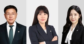 법무법인 대륜이 AI(인공지능) 법률 리스크 관리와 데이터 분석 역량 강화를 위해 AI·데이터 인텔리전스 그룹을 출범했다. (왼쪽부터) 대륜 조영곤 경영총괄변호사, 최이선 대표, 이서형 변호사. /사진=법무법인 대륜