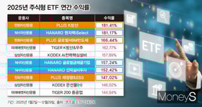 2025년 주식형 ETF 수익률 상위권을 한화자산운용과 NH아문디자산운용이 휩쓸었다. 자료 29일 기준 2025년 주식형 ETF의 연간 수익률. /그래픽=강지호 기자