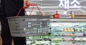 한국은행이 소비자물가 상승률이 향후 2% 수준으로 점차 둔화될 것으로 전망했다. 사진은 서울 시내 한 대형마트 채소 매대에서 소비자들이 채소를 고르고 있는 모습./사진=뉴시스