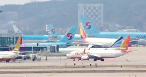 대한항공과 아시아나항공의 기업결합에 따른 운수권 배분이 마무리됐다. LCC들은 올해 장거리 노선 확대와 안전 강화 등을 돌파구로 삼고 있다. /사진=머니투데이