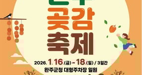 '제11회 완주 곶감축제' 홍보 포스터./사진제공=완주군