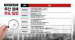 그래픽=강지호 기자