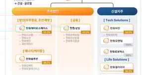 인적분할에 나선 ㈜한화가 한화에너지와의 합병 가능성을 일축했다. /자료=한화