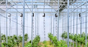 청송군 관내 한 스마트팜 모습./사진제공=경북 청송군