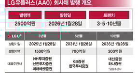 LG헬로비전·미디어로그 등 LG유플러스의 주요 방송통신 자회사가 실적 부진을 겪고 있다. /사진= 각 사