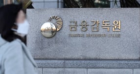 금감원이 회계사·변호사 등 전문직 40여명을 채용한다. 사진은 서울 여의도 금감원. /사진=뉴시스
