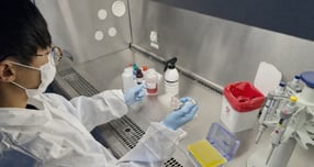 경기도동물위생시험소 ASF 정밀검사. /사진제공=경기도