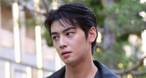 가수 겸 배우 차은우가 모친 명의의 법인을 활용해 200억원이 넘는 세금을 탈루했다는 의혹이 불거진 가운데, 조세당국이 페이퍼컴퍼니로 의심한 해당 법인의 과거 주소지가 강화도 한 장어집이었던 것으로 드러났다. 사진은 지난 2024년 5월 서울 성수동 디올에서 열린 포토콜 행사에 참석한 배우 차은우. /사진=스타뉴스