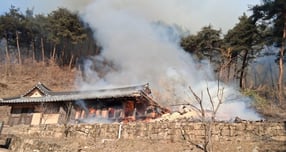 24일 오전 10시25분쯤 경북 영주시 풍기읍의 한 고택에서 불이 나 인근 야산으로 번지고 있어 당국이 헬기 11대를 투입해 진화 중이다./사진=뉴스