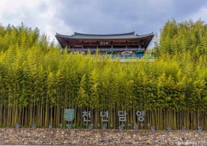 담양에서 시원한 대숲의 노래를 들으며 힐링해보자. 사진은 외부에서 본 죽녹원 모습. /사진=한국관광공사