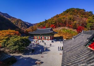장성에서 늦가을의 고요와 여유를 만나보자. 사진은 백양사 전경. /사진=한국관광공사