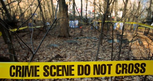 실시간이슈메인 이미지