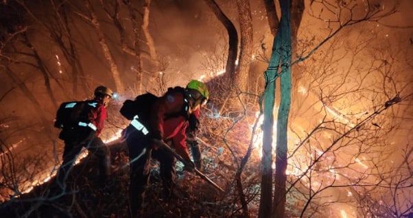 실시간이슈메인 이미지