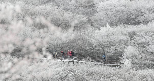 실시간이슈메인 이미지