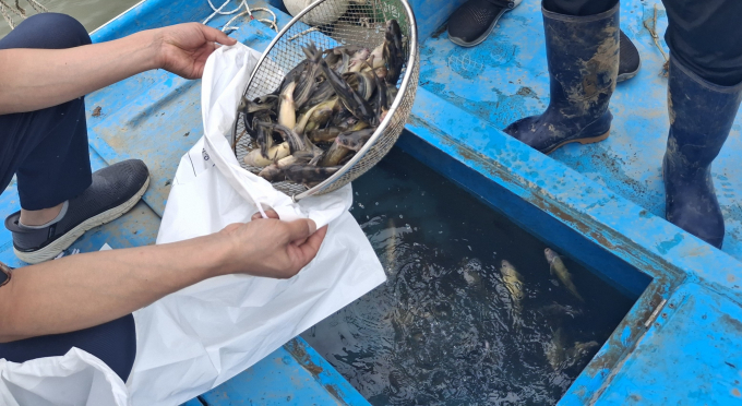 한강·임진강 접경지역 수산물 방사능 검사 결과 '안전'