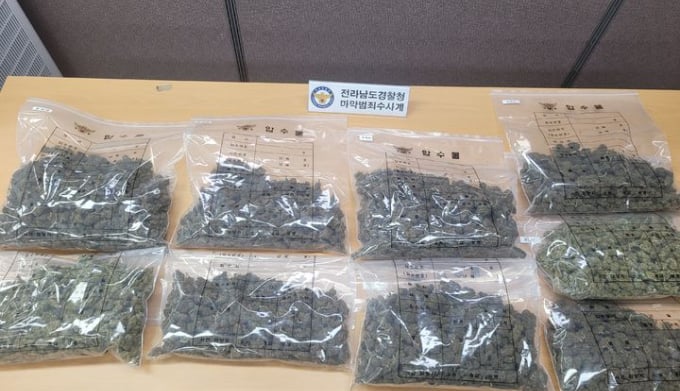 전남경찰 '3200명 동시 흡연' 대마 밀반입 일당 3명 송치