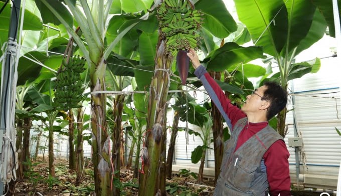 "초음파 냉난방기 덕분에 스마트팜 전기료 걱정 없어요"