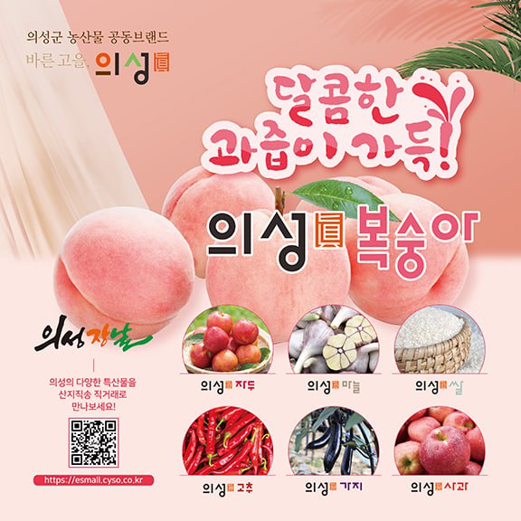 광고 이미지