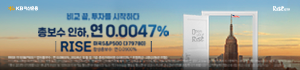 RISE 미국S&P500 - RISE ETF