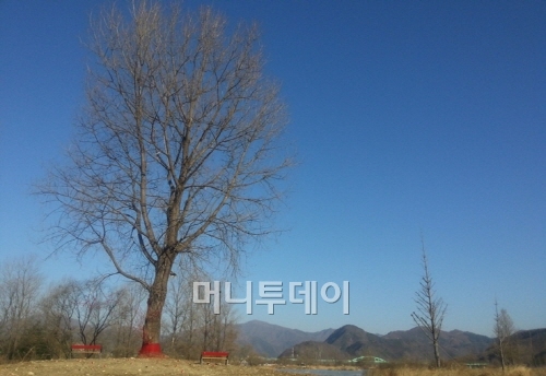 ↑맑은 하늘과 강변 풍광