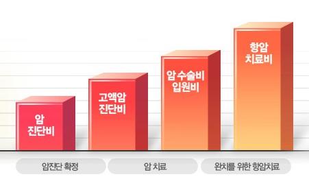 '암'관련 지출비용  